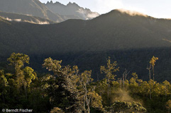 Mount Kinabalu  - Zum Vergroessern klicken!